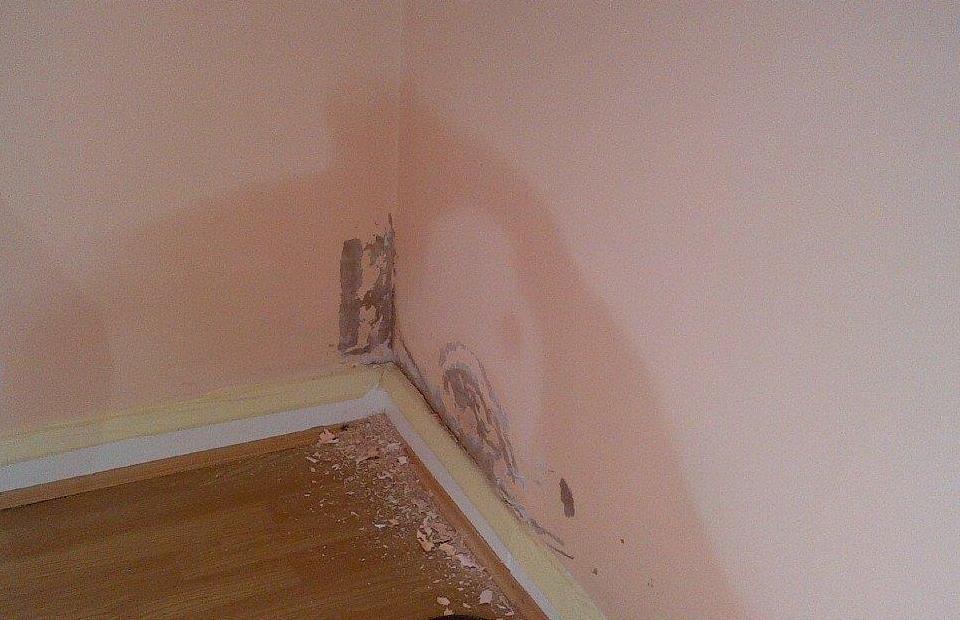Rising-Damp-Internal-Wall-tidemark